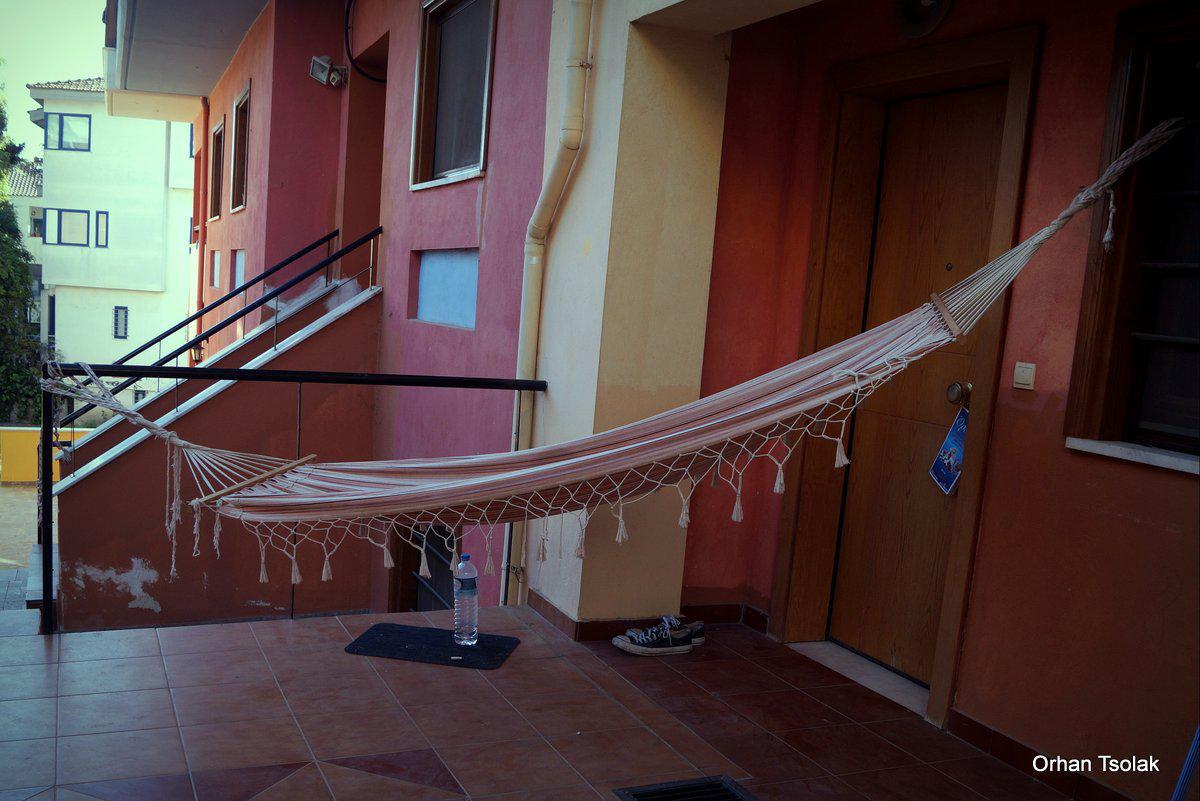 dsc00068.jpg dsc00068.jpg