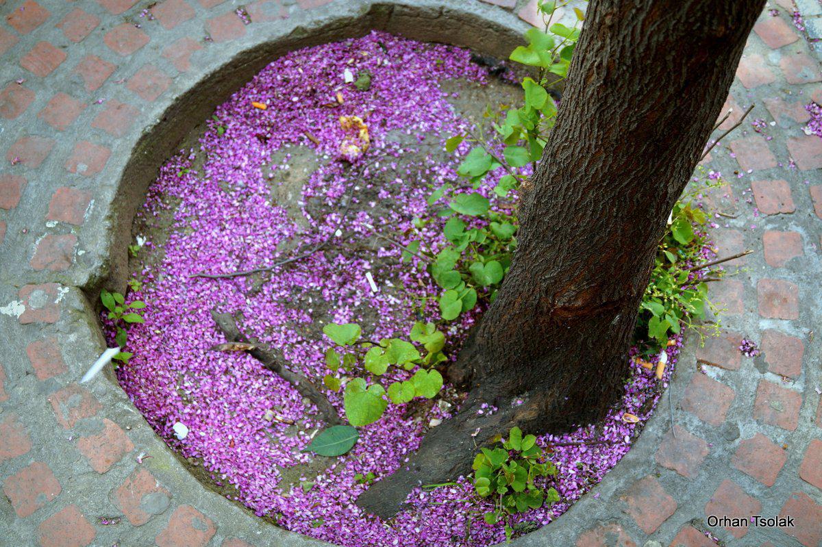 dsc000682.jpg dsc000682.jpg