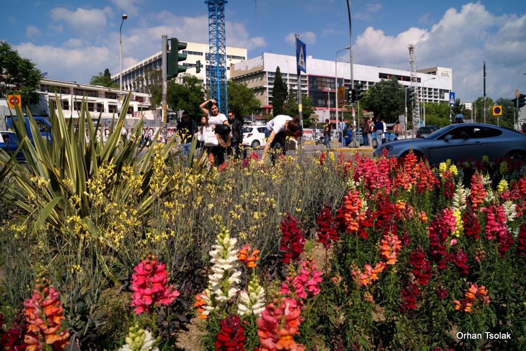 dsc00084013.jpg dsc00084013.jpg