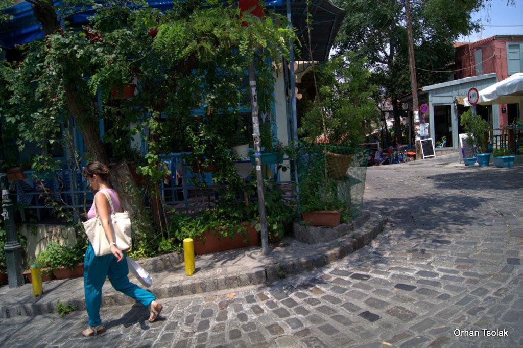 dsc000932.jpg dsc000932.jpg