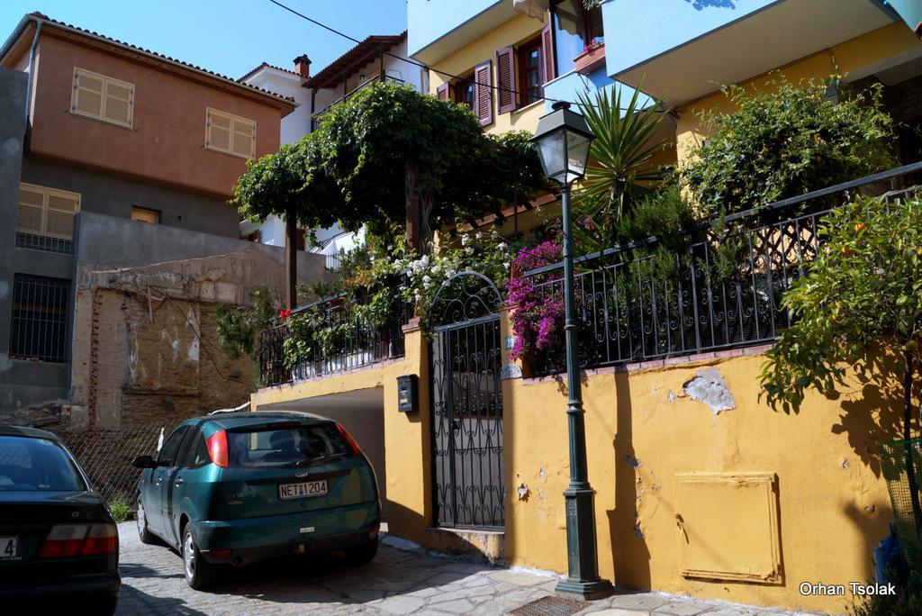 dsc0010105.jpg dsc0010105.jpg