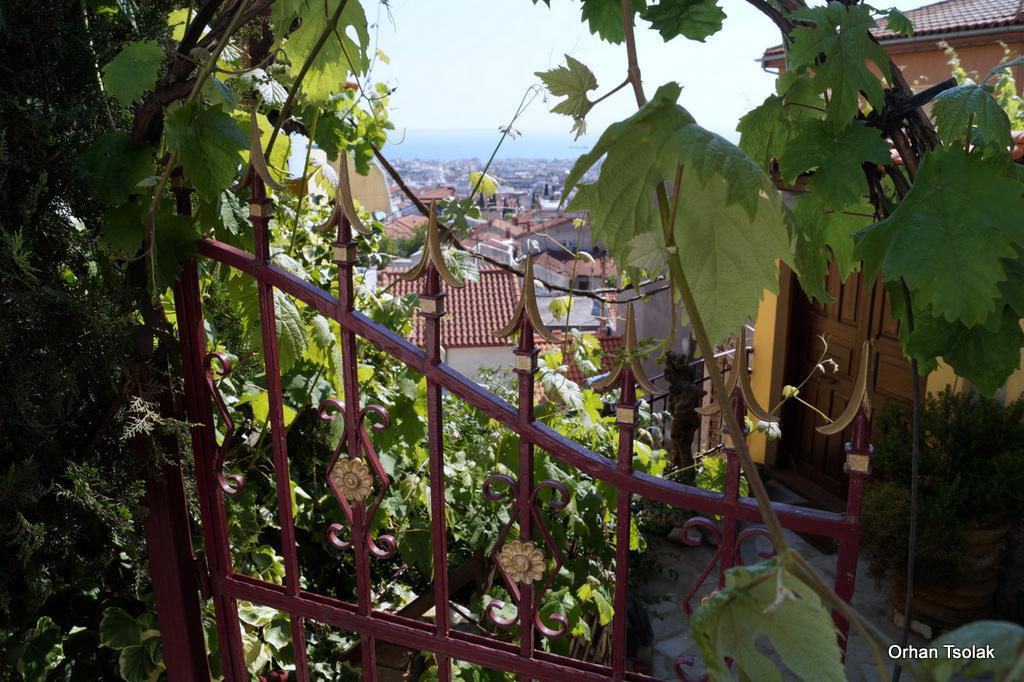 dsc0010608.jpg dsc0010608.jpg