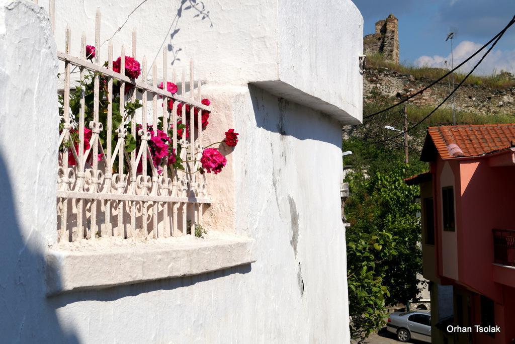 dsc0010809.jpg dsc0010809.jpg