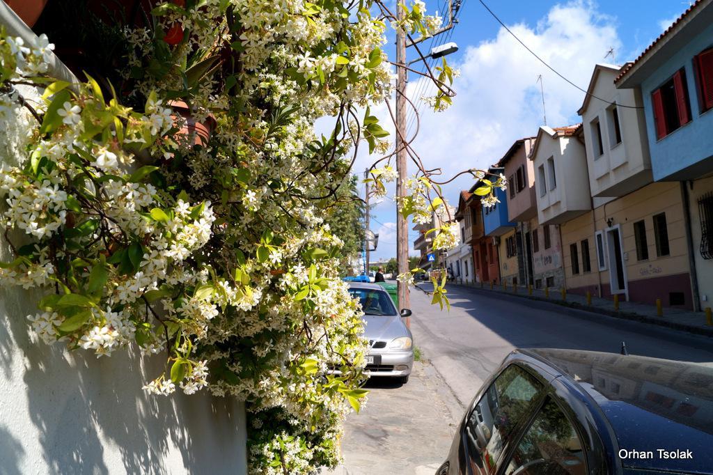 dsc0011512.jpg dsc0011512.jpg