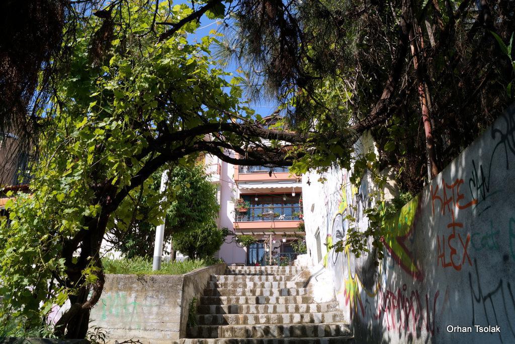 dsc0011613.jpg dsc0011613.jpg