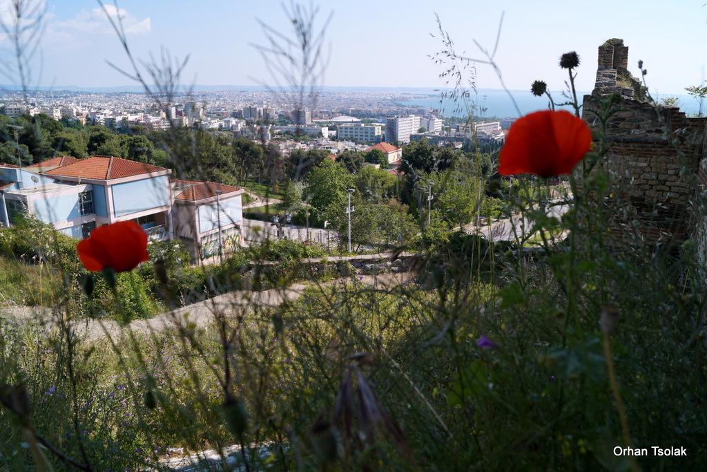 dsc0012014.jpg dsc0012014.jpg