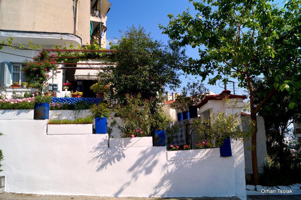 dsc0012716.jpg dsc0012716.jpg