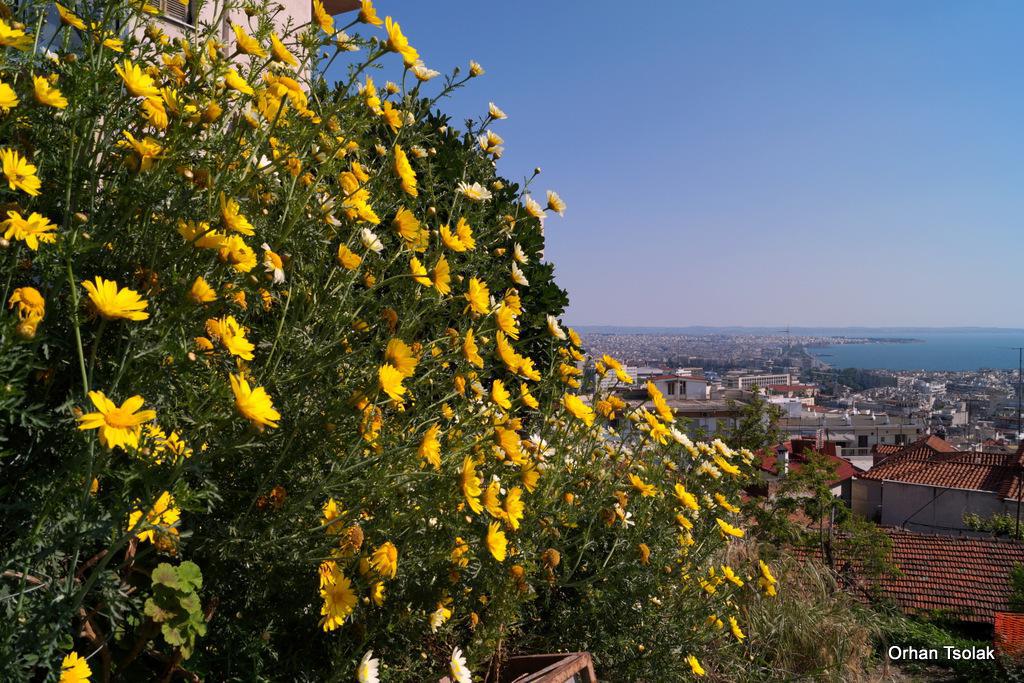 dsc0014119.jpg dsc0014119.jpg