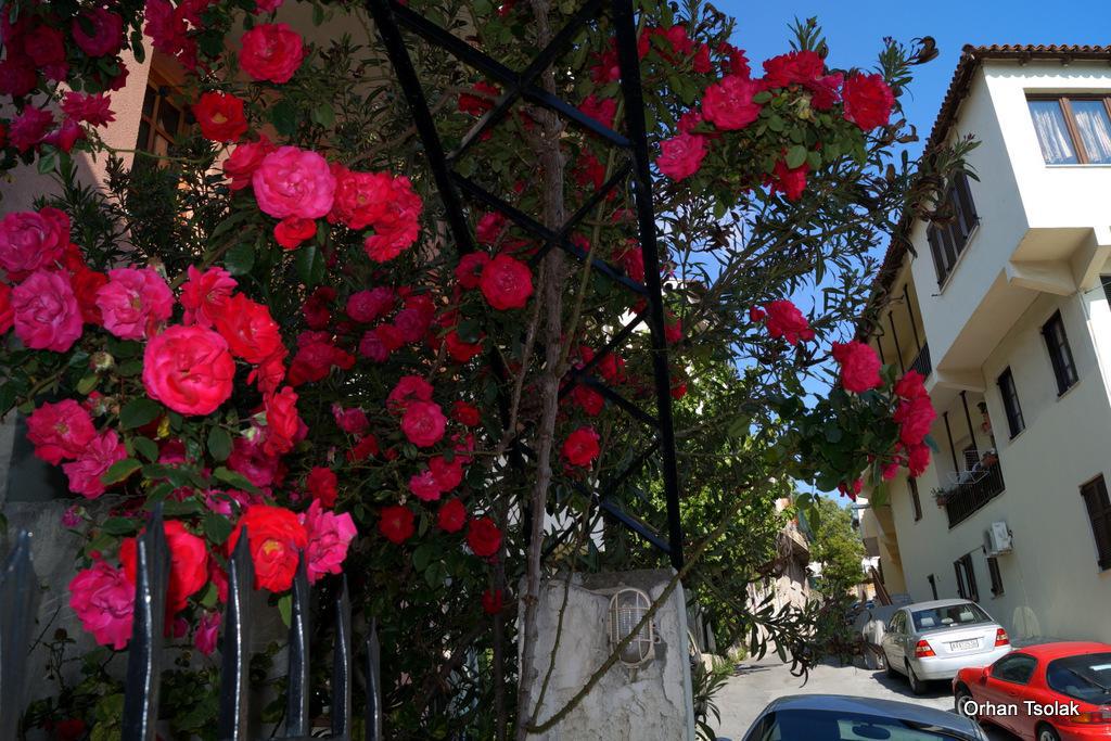 dsc0014520.jpg dsc0014520.jpg