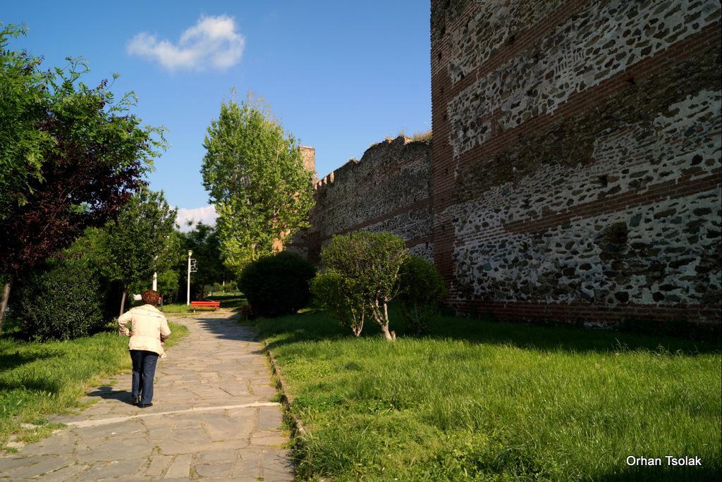 dsc0016823.jpg dsc0016823.jpg