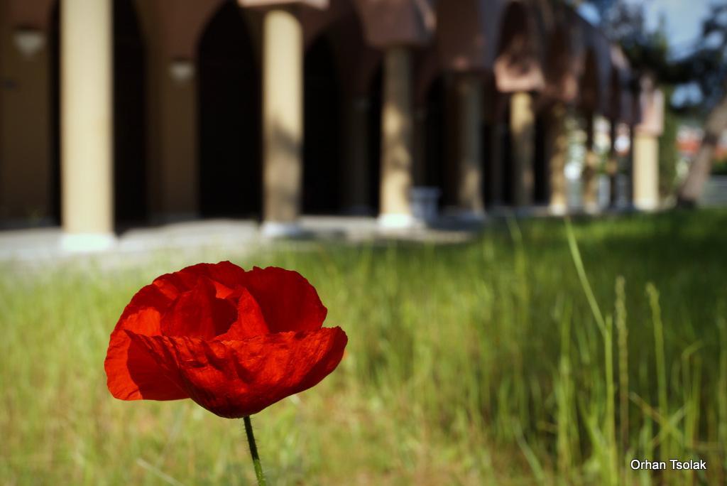 dsc0017827.jpg dsc0017827.jpg