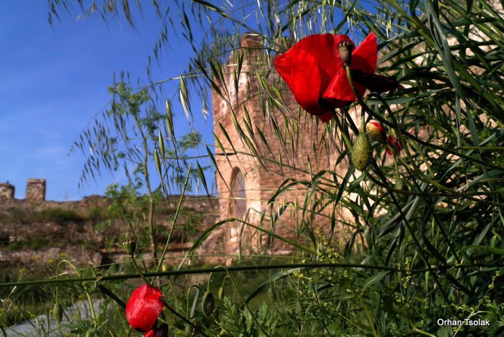 dsc0018830.jpg dsc0018830.jpg