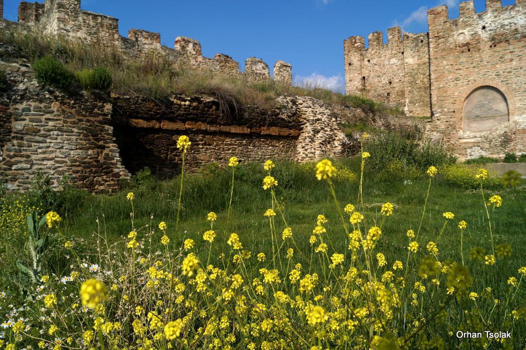 dsc0019432.jpg dsc0019432.jpg