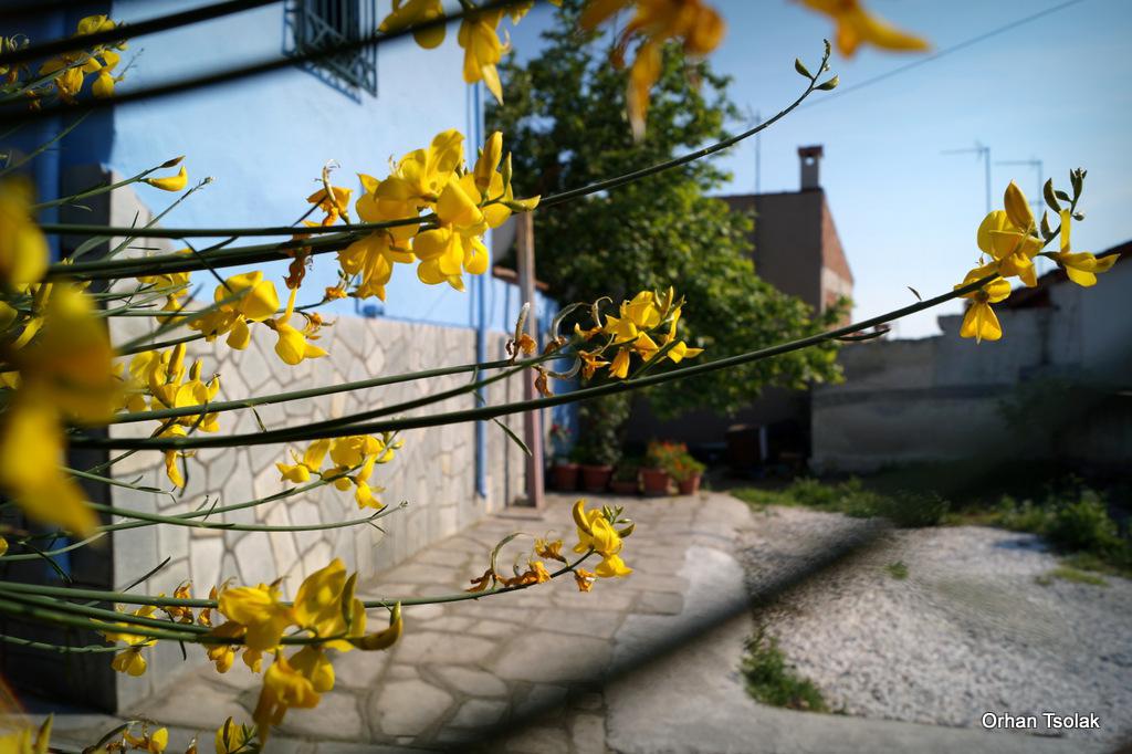 dsc0021735.jpg dsc0021735.jpg