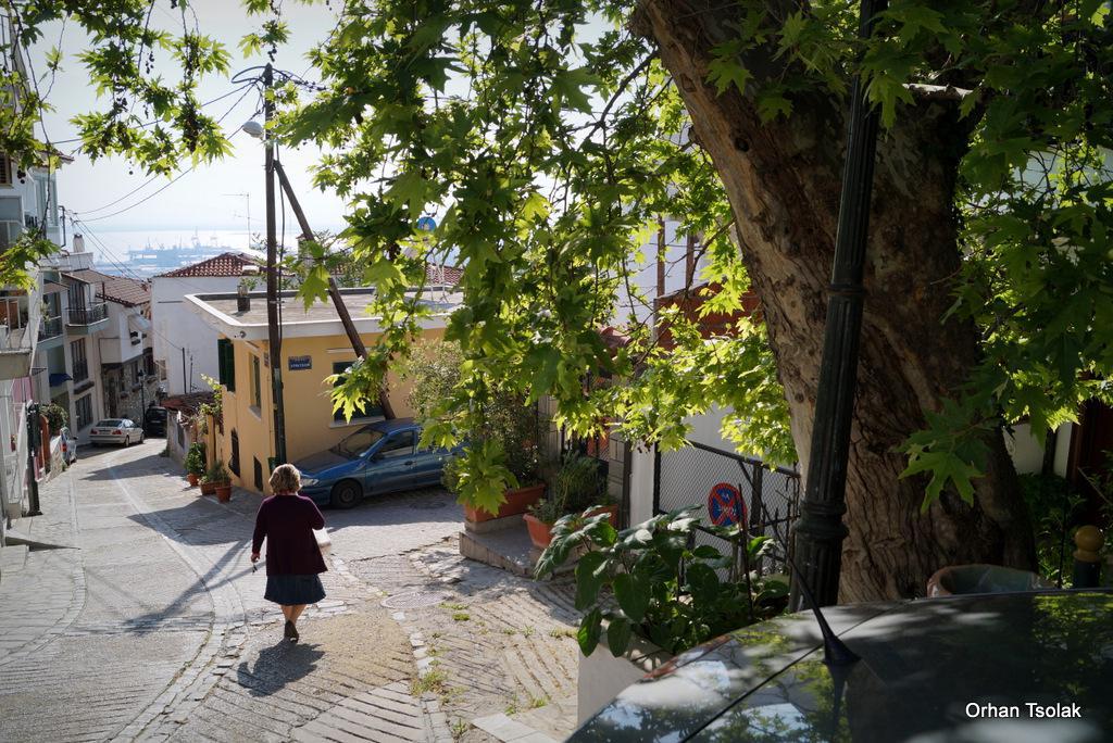 dsc0021938.jpg dsc0021938.jpg