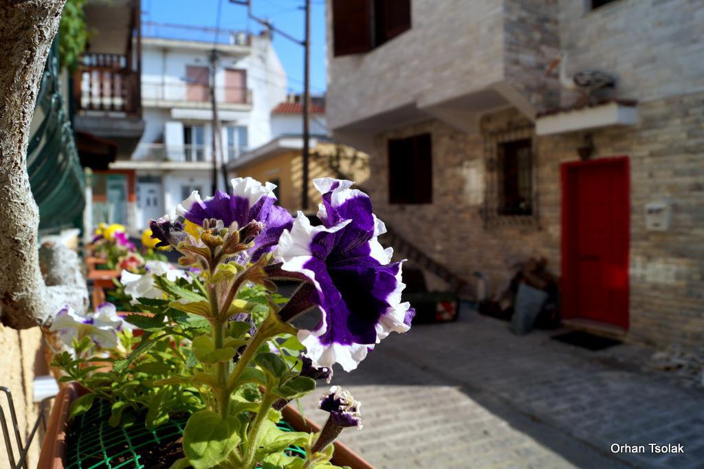 dsc0022439.jpg dsc0022439.jpg