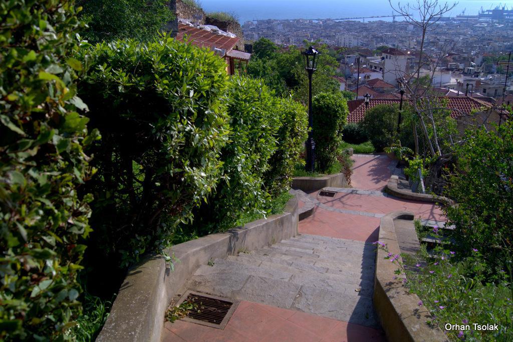 dsc0023035.jpg dsc0023035.jpg