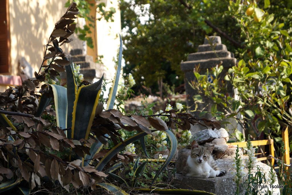 dsc0023841.jpg dsc0023841.jpg