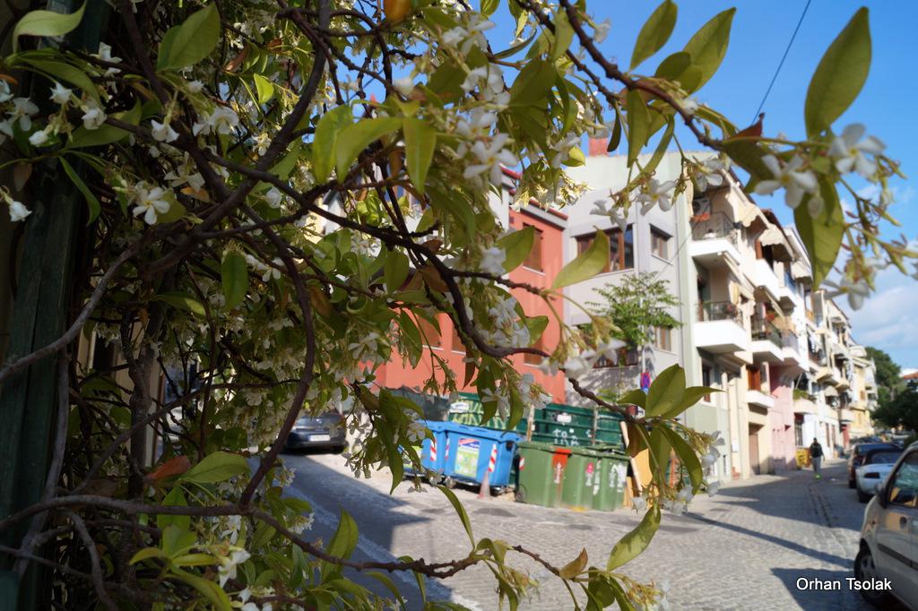 dsc0024445.jpg dsc0024445.jpg