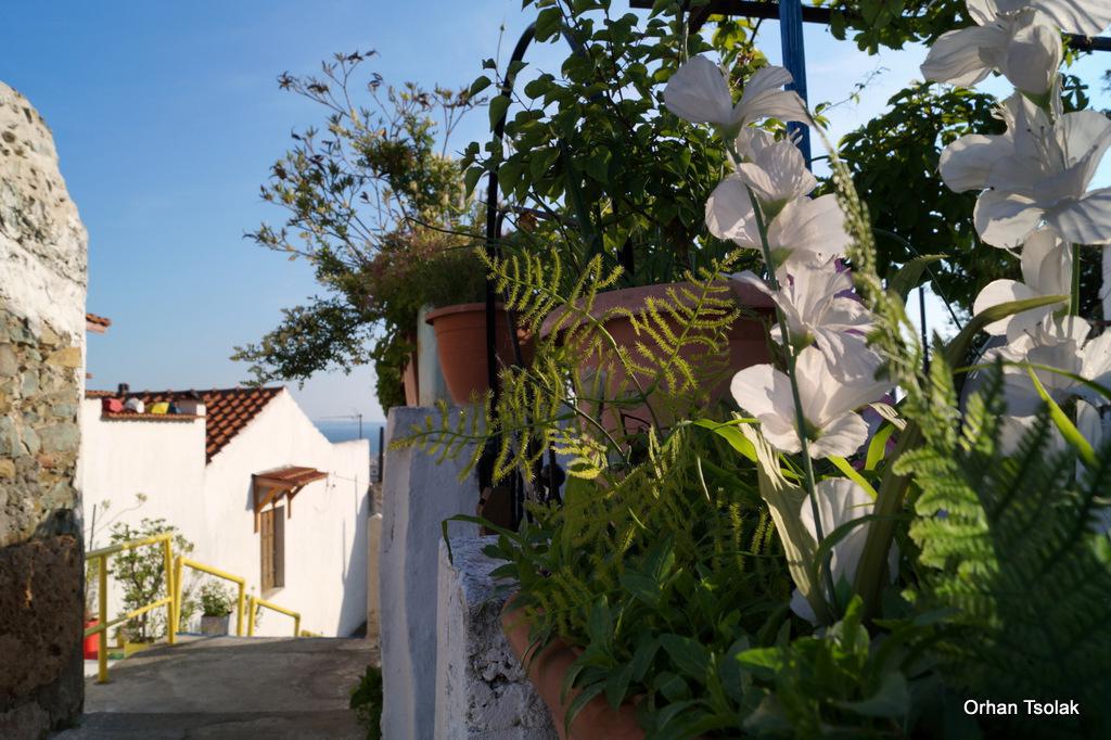 dsc0025050.jpg dsc0025050.jpg