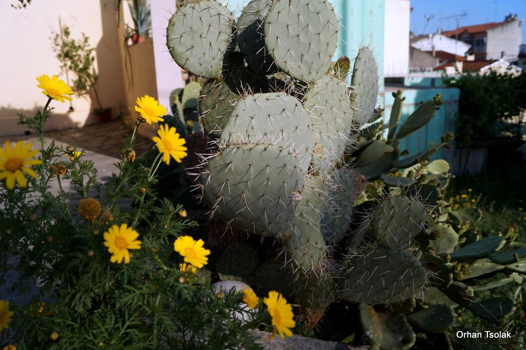 dsc0025334.jpg dsc0025334.jpg