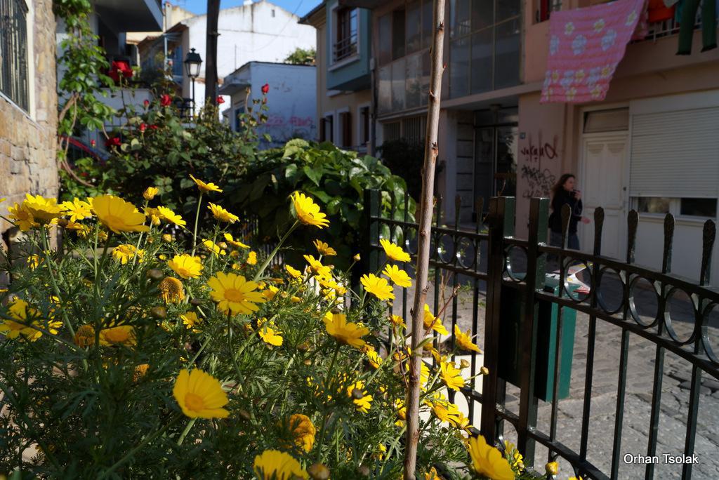 dsc0025437.jpg dsc0025437.jpg