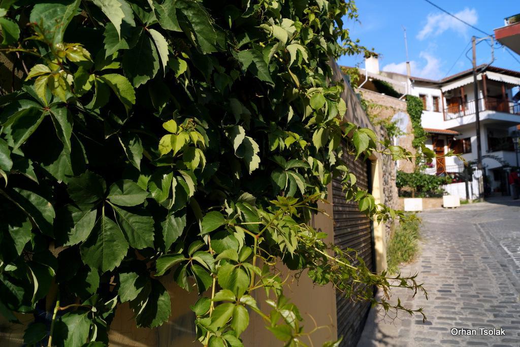 dsc0026301.jpg dsc0026301.jpg