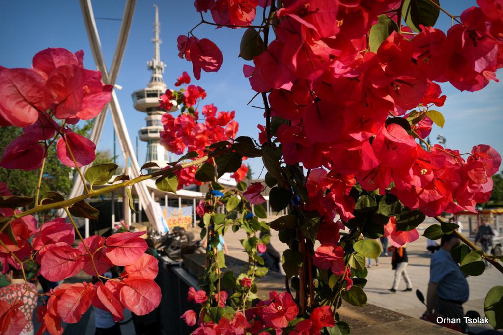 dsc003241.jpg dsc003241.jpg