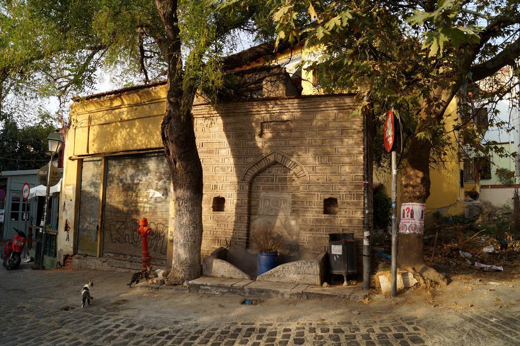 dsc0143722.jpg dsc0143722.jpg