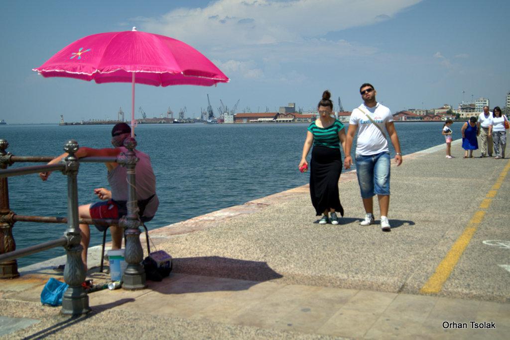 dsc01769.jpg dsc01769.jpg