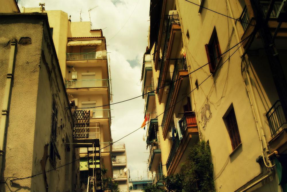 dsc02326.jpg dsc02326.jpg