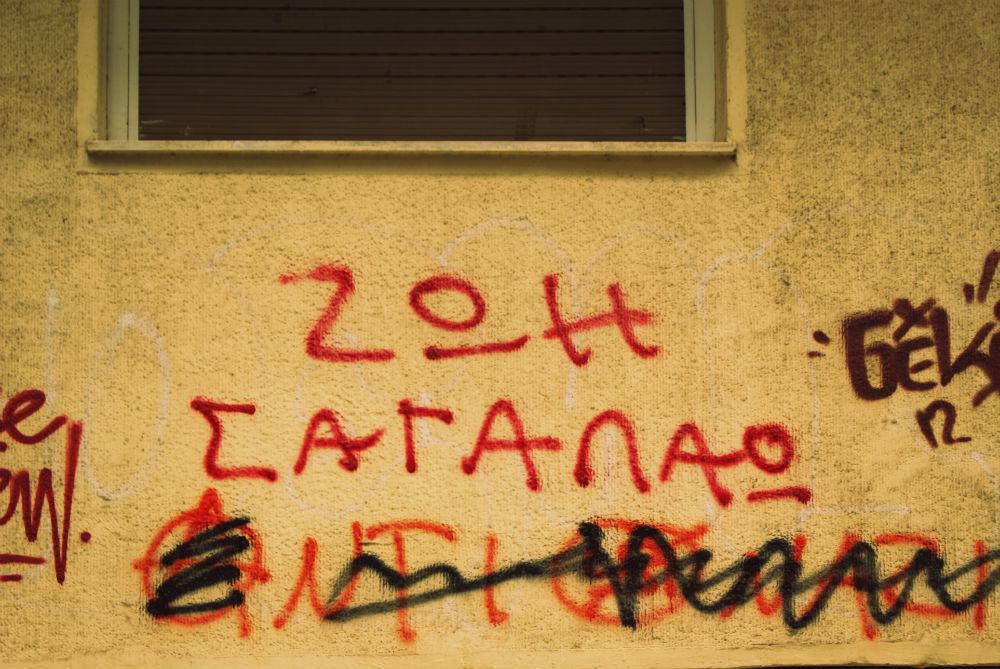 dsc02367.jpg dsc02367.jpg