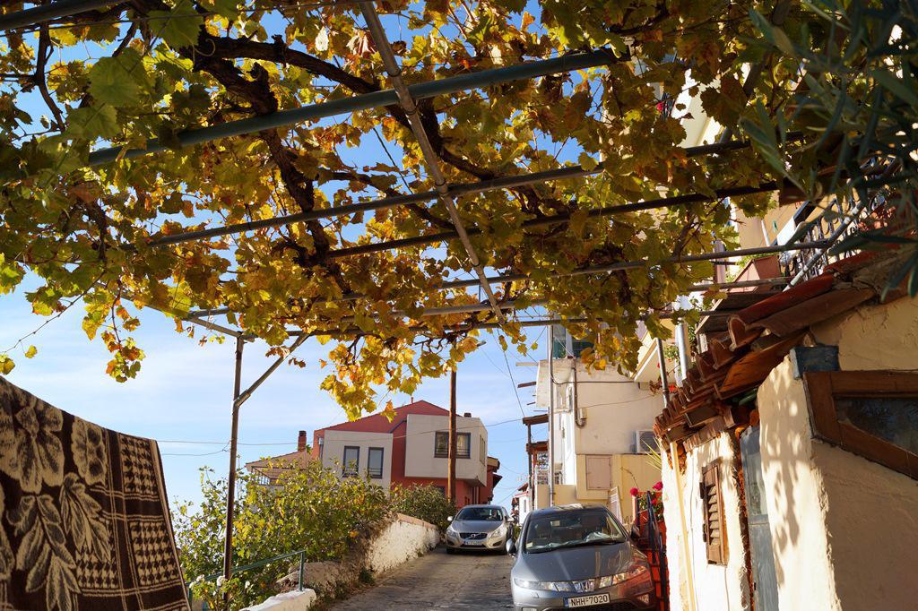 dsc0280815.jpg dsc0280815.jpg