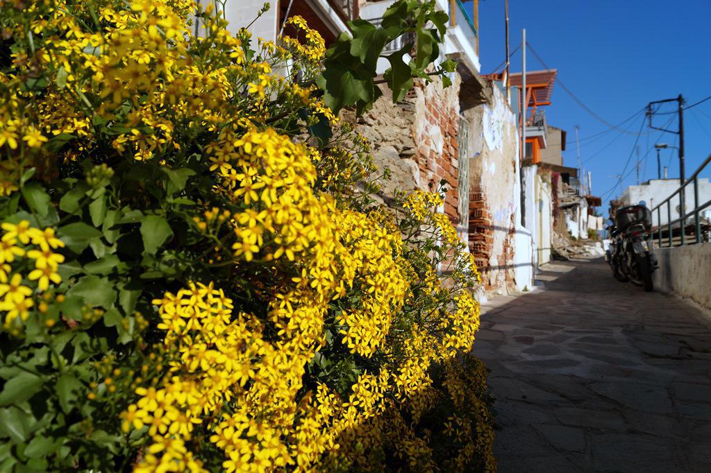 dsc0281217.jpg dsc0281217.jpg