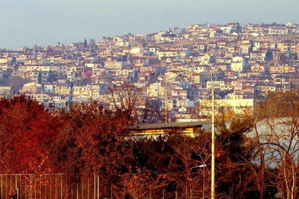 dsc0419233.jpg dsc0419233.jpg