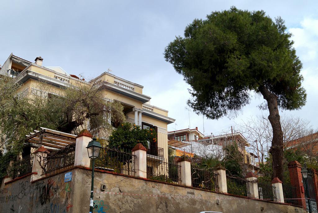 dsc0443628.jpg dsc0443628.jpg