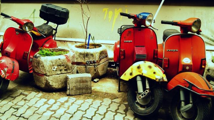 dsc06116.jpg dsc06116.jpg