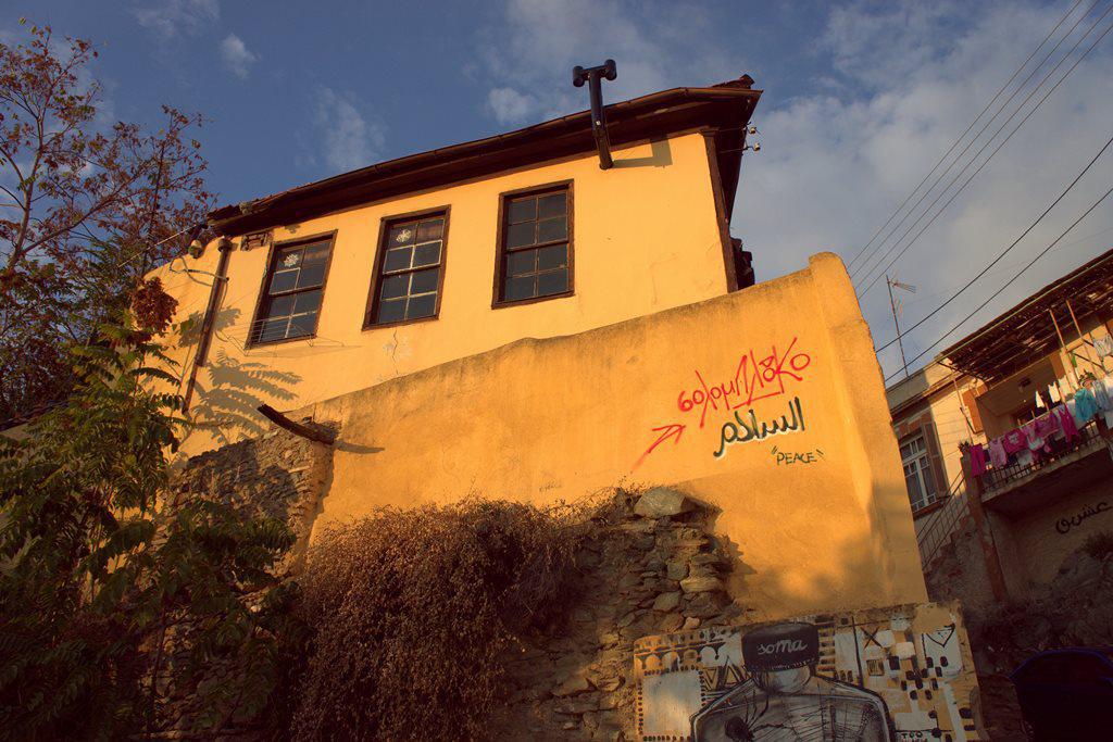 dsc0716236.jpg dsc0716236.jpg