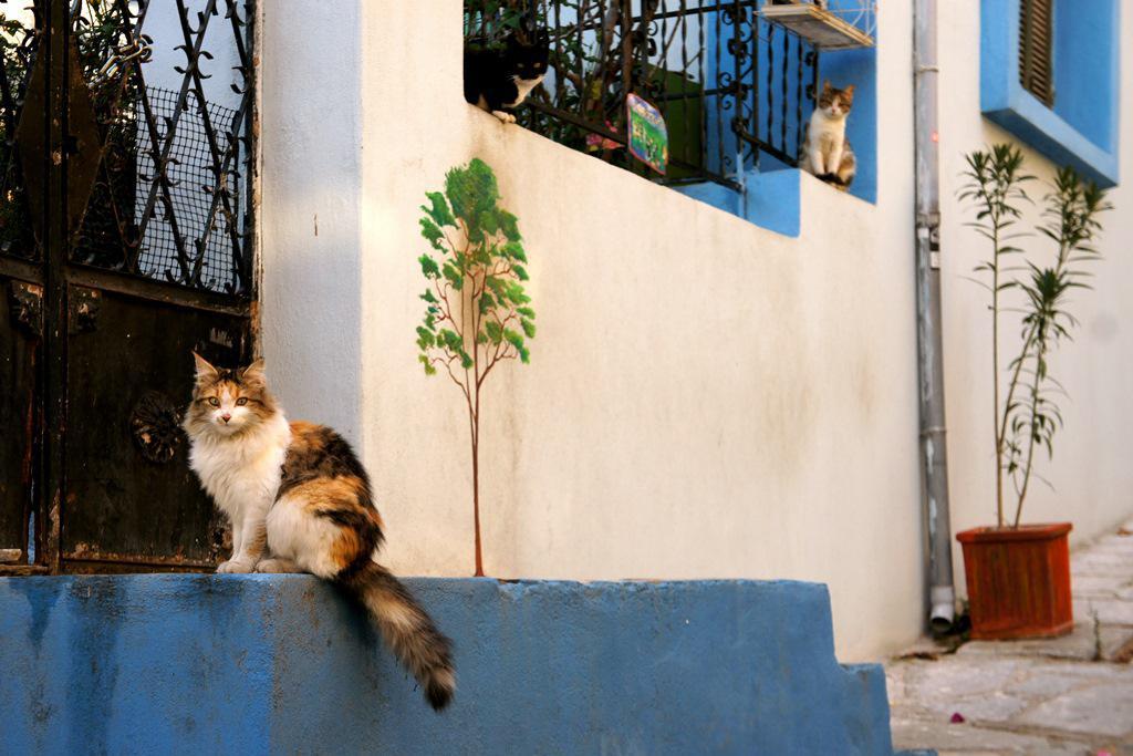 dsc0716409.jpg dsc0716409.jpg