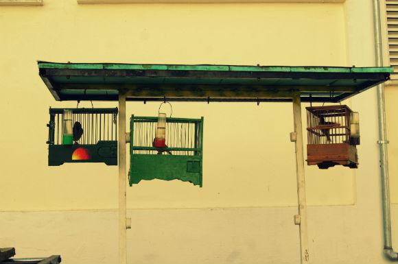 dsc07867.jpg dsc07867.jpg