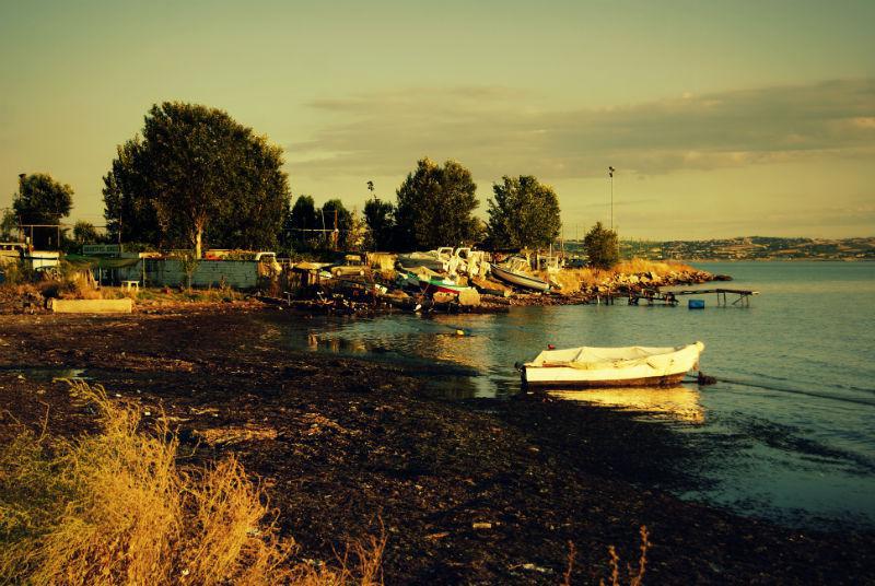 dsc08906.jpg dsc08906.jpg