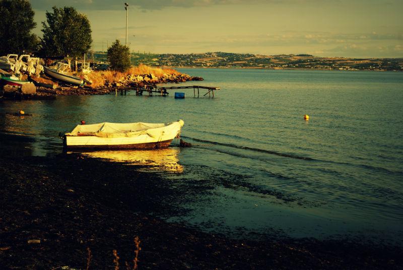 dsc08907.jpg dsc08907.jpg