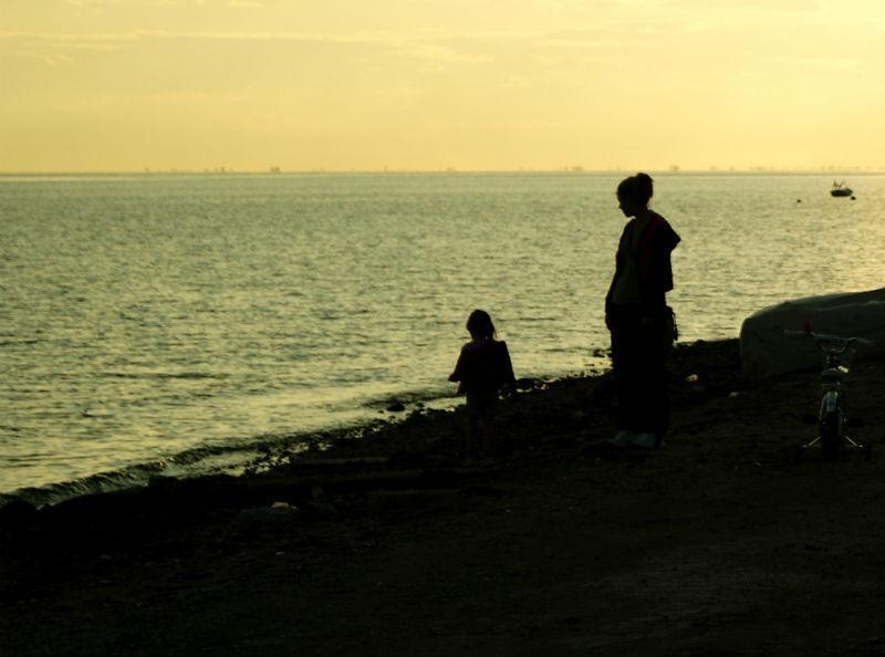 dsc08913.jpg dsc08913.jpg