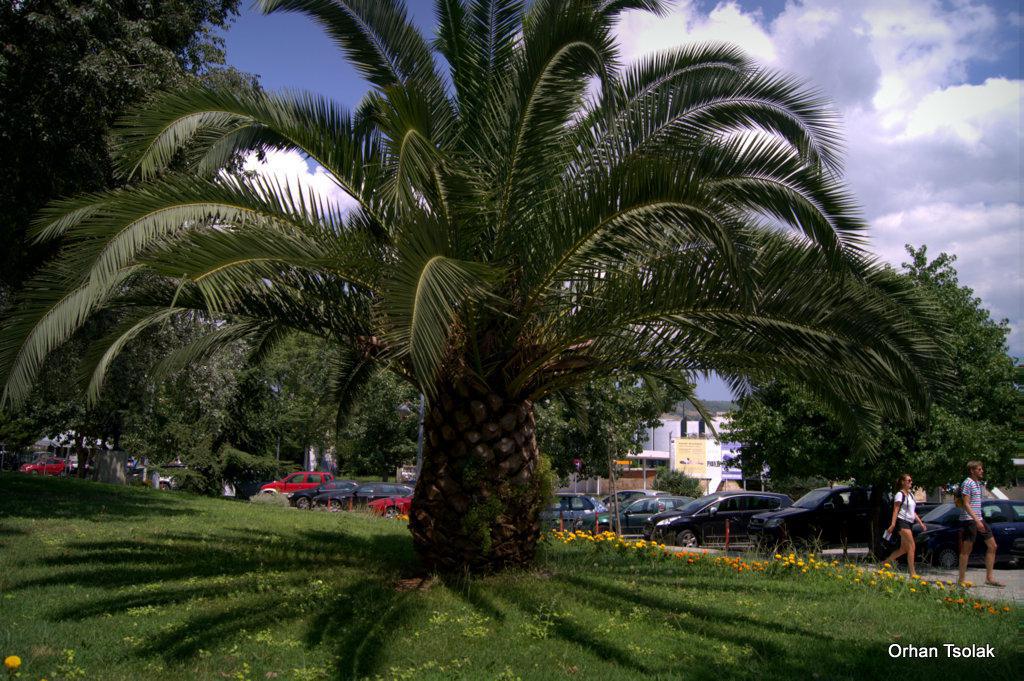 dsc094075.jpg dsc094075.jpg