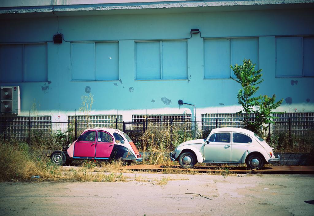 dsc09450.jpg dsc09450.jpg