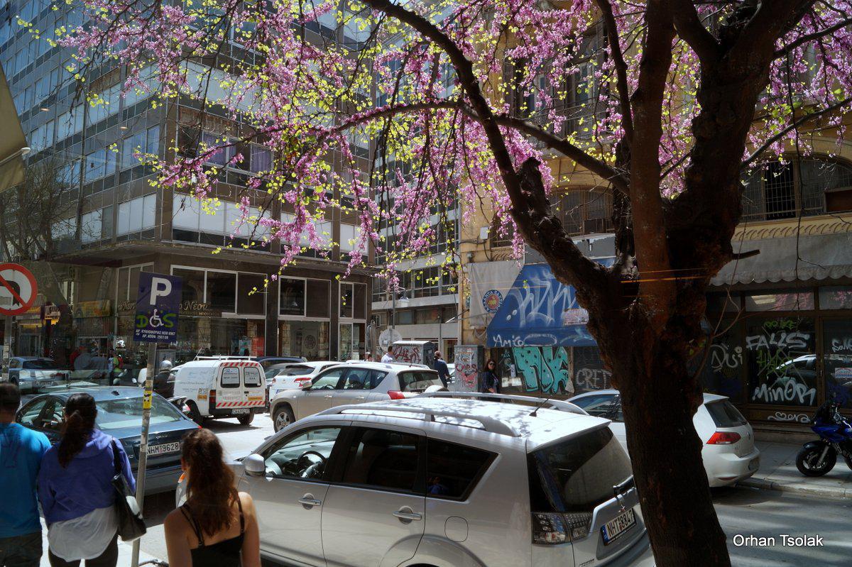 dsc09464.jpg dsc09464.jpg