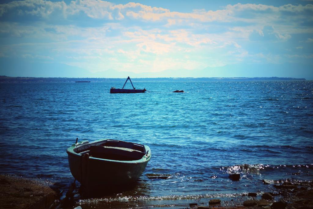 dsc09526.jpg dsc09526.jpg