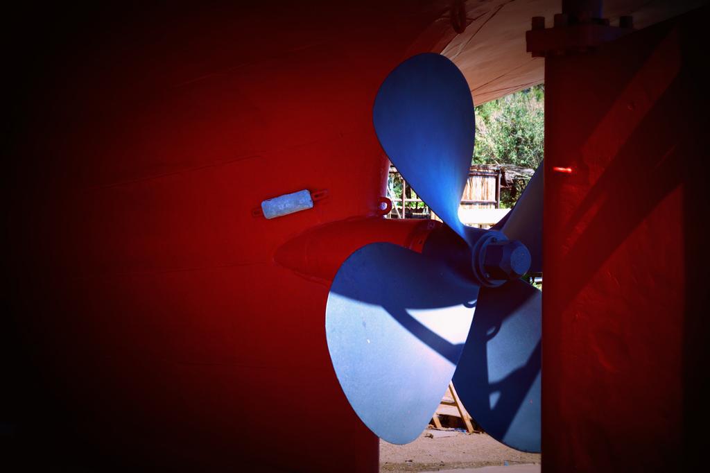 dsc09533.jpg dsc09533.jpg