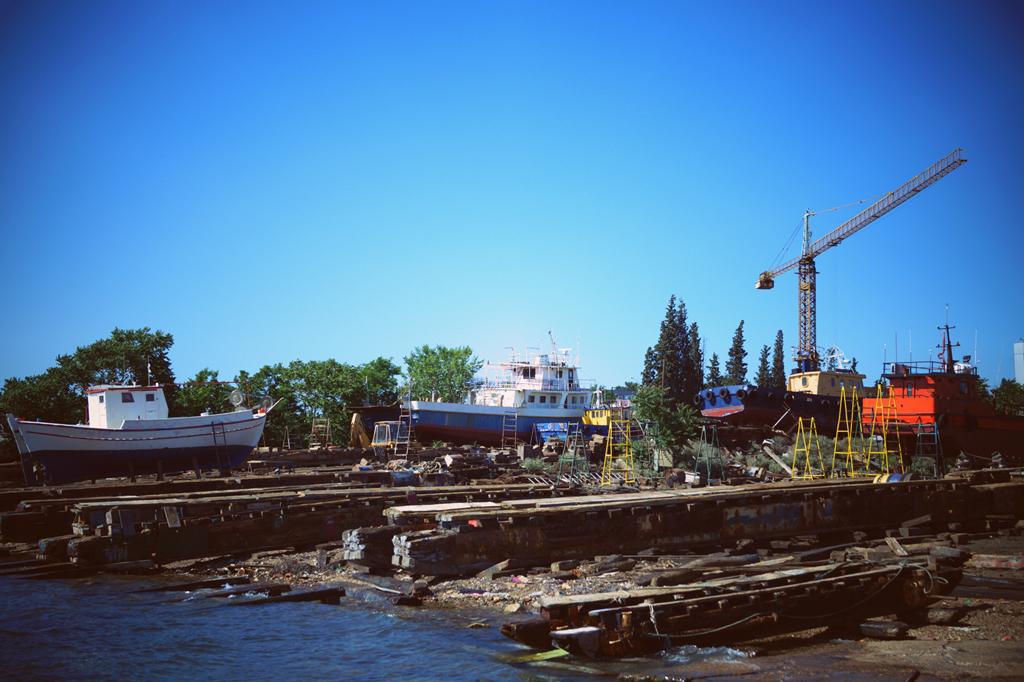 dsc09556.jpg dsc09556.jpg