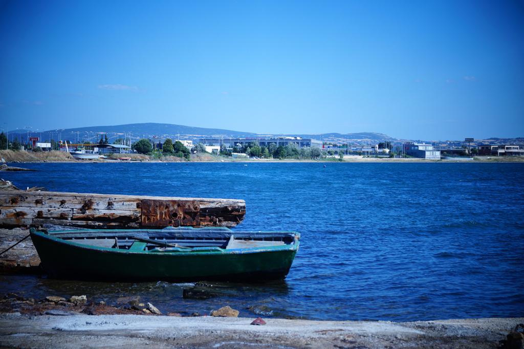 dsc09558.jpg dsc09558.jpg